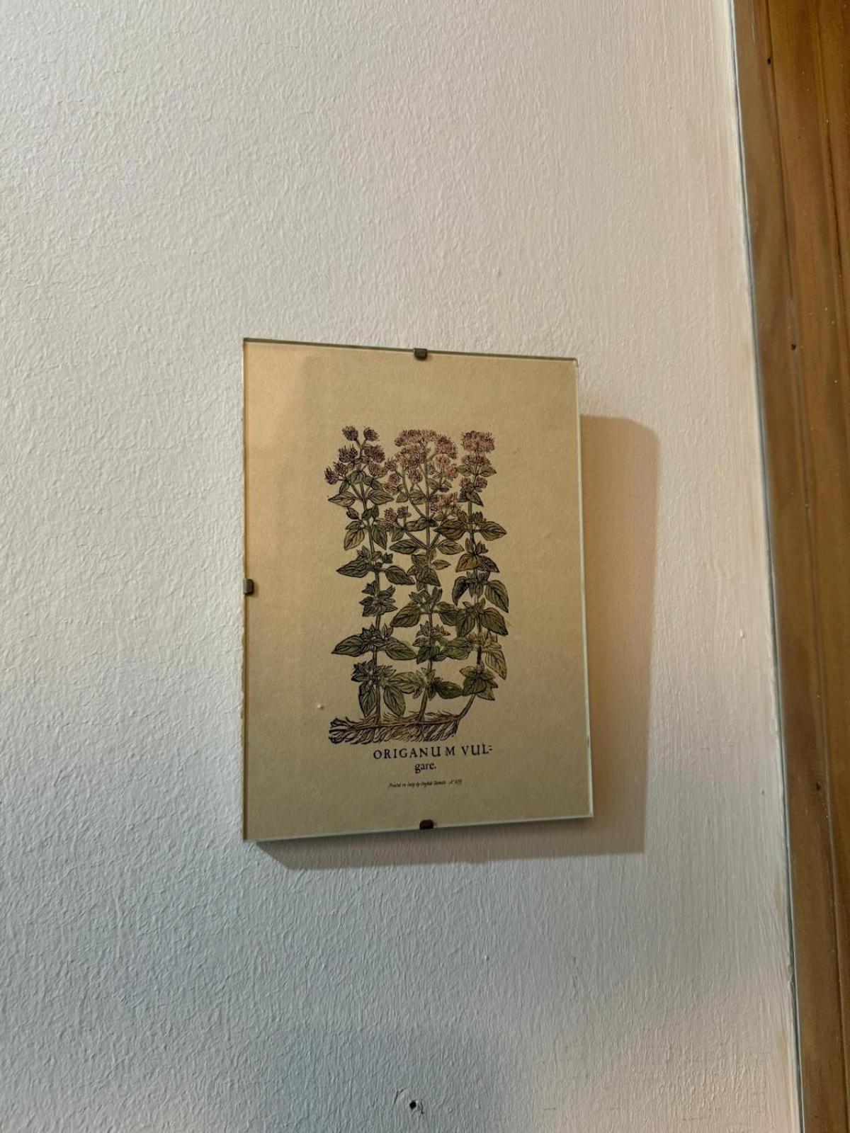Apartamento Casa Palacio 1890. El Puerto de Santa María Eksteriør bilde